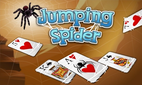 Jumping Spider